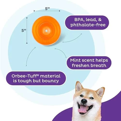 Outward Hound Snoop Interactive Treat Dispenser Dog Toy, Orange, 5" | Mental Stimulation & Slow Feeder thumbnail 3