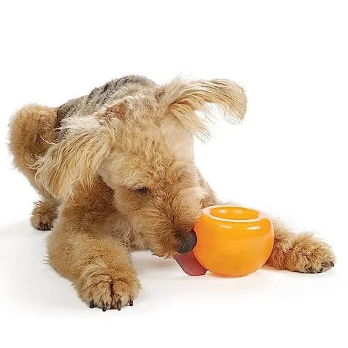 Outward Hound Snoop Interactive Treat Dispenser Dog Toy, Orange, 5" | Mental Stimulation & Slow Feeder thumbnail 4