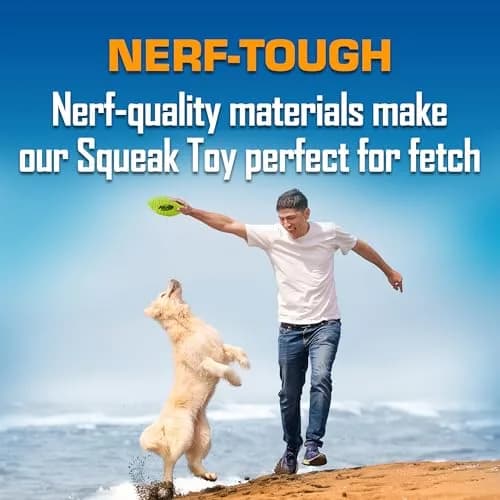 Nerf Dog Blitz Squeak Football 17.8 cm (7 Inch) | Durable Rubber Dog Toy for Medium and Large Breeds thumbnail 4
