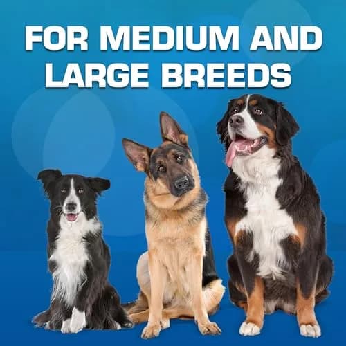 Nerf Dog Blitz Squeak Football 17.8 cm (7 Inch) | Durable Rubber Dog Toy for Medium and Large Breeds thumbnail 6