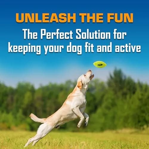 Nerf Dog Blitz Squeak Football 17.8 cm (7 Inch) | Durable Rubber Dog Toy for Medium and Large Breeds thumbnail 3