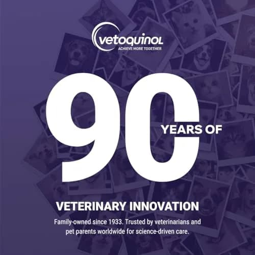 Vetoquinol Flexadin Advanced Hip and Joint Supplement for Dogs & Cats with Undenatured Collagen, 30 Soft Chews | Vet-Approved Formula for Joint Support thumbnail 7
