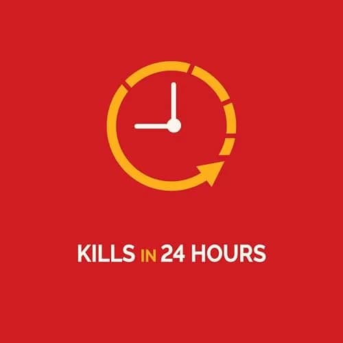 Hot Shot Ultra Liquid Ant Bait 4 Count | Kills Queen & Colony in 24 Hours thumbnail 4