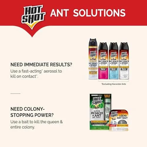 Hot Shot Ultra Liquid Ant Bait 4 Count | Kills Queen & Colony in 24 Hours thumbnail 6