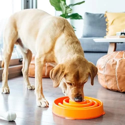 Outward Hound Fun Feeder Slo Bowl Large 4-Cup Capacity Orange Swirl Pattern | Slow Feeding Dog Bowl for Medium to Large Dogs thumbnail 6