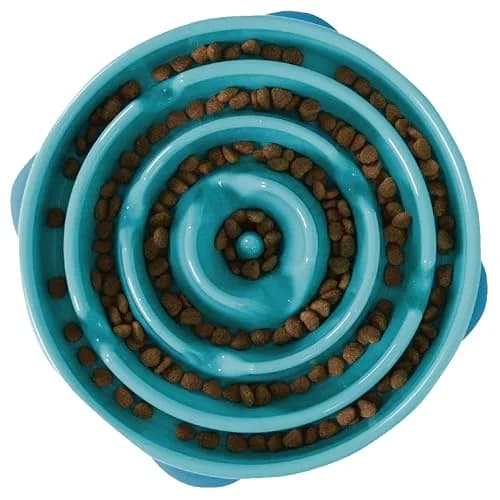 Outward Hound Fun Feeder Slo Bowl Large 4-Cup Capacity Turquoise | Slow Feeding Dog Bowl for Medium to Large Dogs thumbnail 1