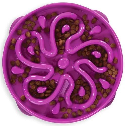 Outward Hound Fun Feeder Slo Bowl Large 4-Cup Capacity Purple Flower Pattern | Slow Feeder Dog Bowl for Fast Eaters thumbnail 1