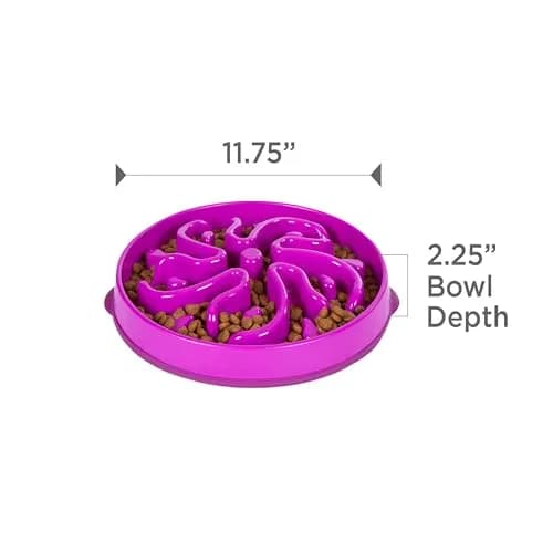 Outward Hound Fun Feeder Slo Bowl Large 4-Cup Capacity Purple Flower Pattern | Slow Feeder Dog Bowl for Fast Eaters thumbnail 7