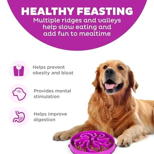 Outward Hound Fun Feeder Slo Bowl Large 4-Cup Capacity Purple Flower Pattern | Slow Feeder Dog Bowl for Fast Eaters thumbnail 2