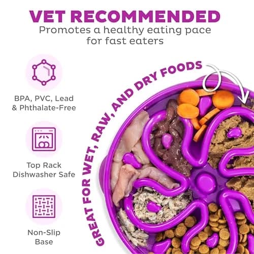 Outward Hound Fun Feeder Slo Bowl Large 4-Cup Capacity Purple Flower Pattern | Slow Feeder Dog Bowl for Fast Eaters thumbnail 3