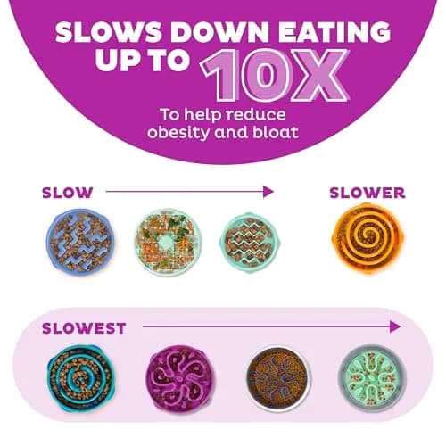 Outward Hound Fun Feeder Slo Bowl Large 4-Cup Capacity Purple Flower Pattern | Slow Feeder Dog Bowl for Fast Eaters thumbnail 4
