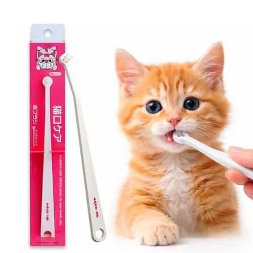 MIND UP Cat Toothbrush with Micro Head, 15° Angled Design for Easier Reach, Pet Toothbrush for Cats & Kittens, Gentle Everyday Brushing, Made in Japan thumbnail 1