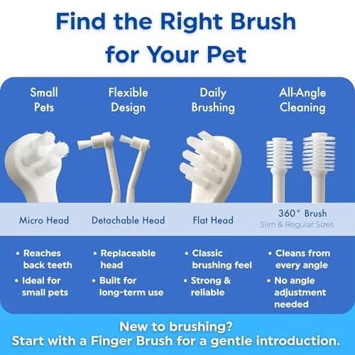 MIND UP Cat Toothbrush with Micro Head, 15° Angled Design for Easier Reach, Pet Toothbrush for Cats & Kittens, Gentle Everyday Brushing, Made in Japan thumbnail 6