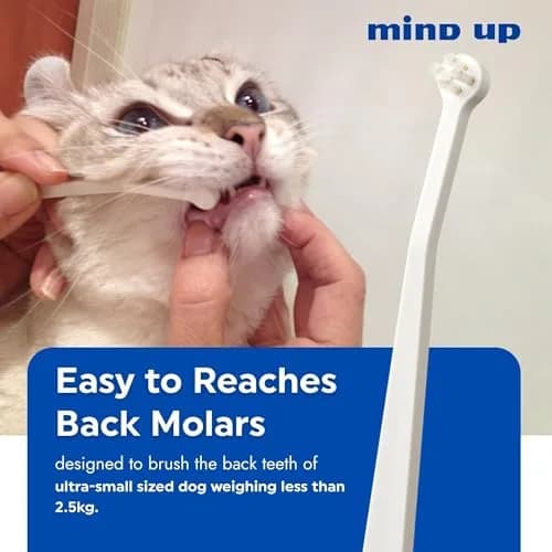 MIND UP Cat Toothbrush with Micro Head, 15° Angled Design for Easier Reach, Pet Toothbrush for Cats & Kittens, Gentle Everyday Brushing, Made in Japan thumbnail 3