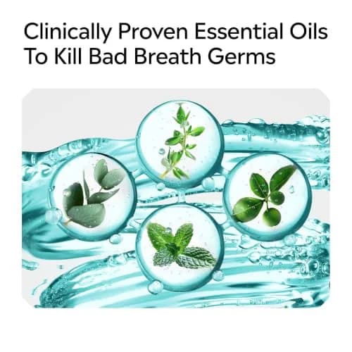 Listerine Cool Mint Alcohol-Free Mouthwash, Mild Mint 500 mL (16.9 Fl Oz) | Kills 99.9% of Bad Breath Germs thumbnail 7