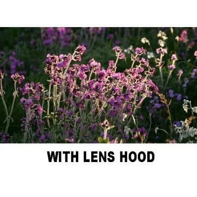 PLR Optics 55mm Lens Hood for Sony DSC-HX300 Digital Camera | Prevents Lens Flare & Protects Lens thumbnail 8