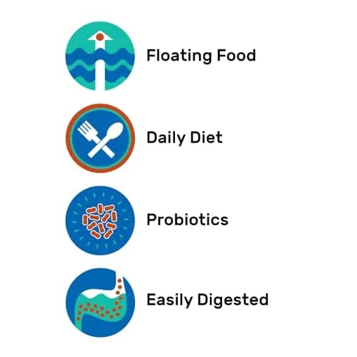 Hikari Saki-Hikari Turtle Probiotic-Enhanced Floating Sticks for Semi-Aquatic Turtles, 200g (7.05 oz) | Odor-Reducing Formula thumbnail 7