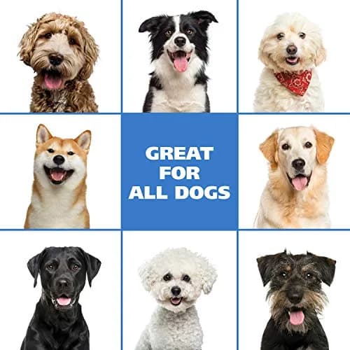 Wahl Waterless No Rinse Shampoo for Animals, Lavender Chamomile 210ml (7.1 Fl Oz) | Gentle Pet Cleaning & Conditioning thumbnail 7