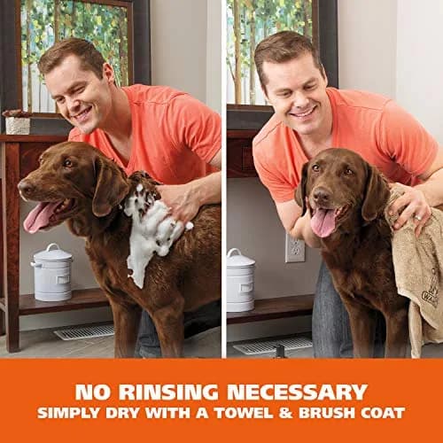Wahl Waterless No Rinse Shampoo for Animals, Lavender Chamomile 210ml (7.1 Fl Oz) | Gentle Pet Cleaning & Conditioning thumbnail 3