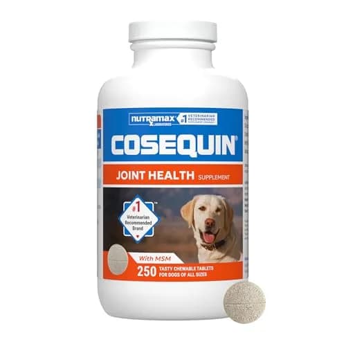 Nutramax Cosequin Joint Supplement for Dogs, MSM+HA, 250 Chew Tablets | Supports Joints, All Breeds & Sizes, All Ages thumbnail 1