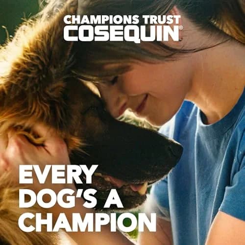 Nutramax Cosequin Joint Supplement for Dogs, MSM+HA, 250 Chew Tablets | Supports Joints, All Breeds & Sizes, All Ages thumbnail 2