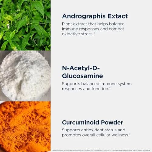 Designs for Health ImmunoMod-A, Immune Support, 120 Capsules | Supports Healthy Inflammatory Response thumbnail 4