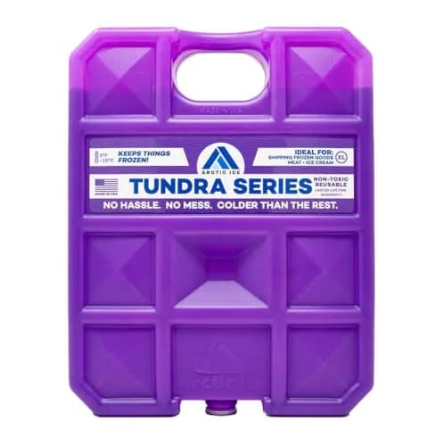 Arctic Ice Tundra Series X-Large 5 lb (2.27 kg) Reusable Ice Pack | Maintains -5°F Freezer-Like Temperatures thumbnail 1