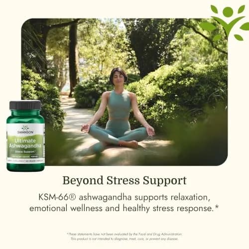 Swanson Ashwagandha KSM-66 250 mg | Herbal Stress Support Capsules thumbnail 5