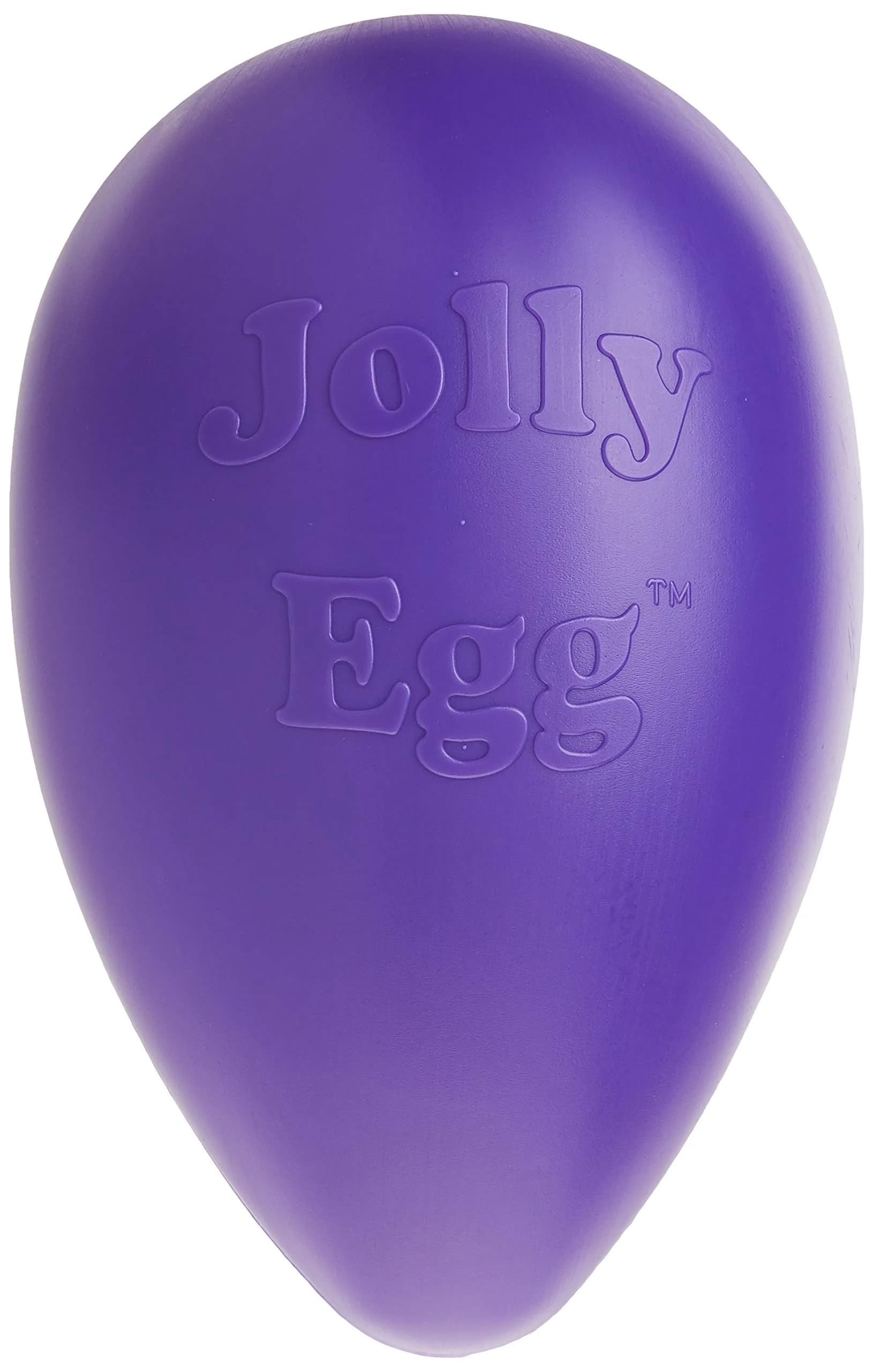 Jolly Pets Jolly Egg Herding Dog Toy, 8-inch (20.3 cm) Yellow | Unpredictable Chase & Float Fun — Purple / Large (12 in)