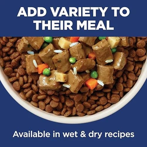 Hill's Science Diet Adult 1-6 Small & Mini Dry Dog Food, Lamb Meal & Brown Rice, 7.03 kg (15.5 lb) | Supports Digestion & Immune Health thumbnail 8