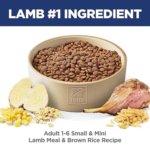 Hill's Science Diet Adult 1-6 Small & Mini Dry Dog Food Lamb & Brown Rice 2.04 kg (4.5 lb) | Veterinarian Recommended thumbnail 2