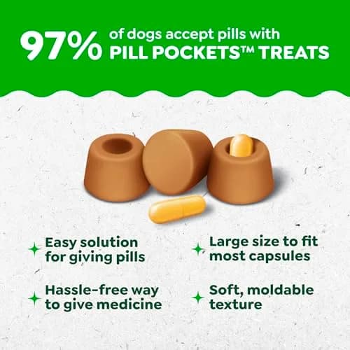 Greenies Pill Pockets Large Size Dog Treats, Chicken, 448 g (15.8 oz) | Vet-Recommended Pill Masking Treats thumbnail 2