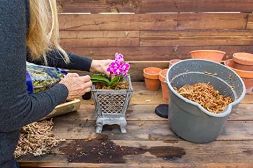 SuperMoss Orchid Sphagnum Moss 1.11 kg (2 lb) Bag | Premium Long Fiber for Orchids & Succulents thumbnail 4