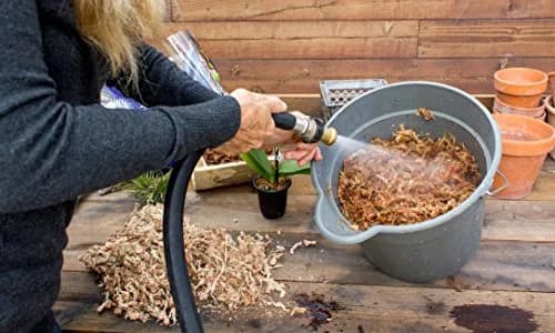 SuperMoss Orchid Sphagnum Moss 1.11 kg (2 lb) Bag | Premium Long Fiber for Orchids & Succulents thumbnail 2