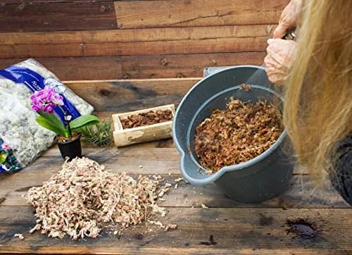 SuperMoss Orchid Sphagnum Moss 227g (8oz) | Long Fiber Natural Dried Moss for Orchids and Succulents thumbnail 3