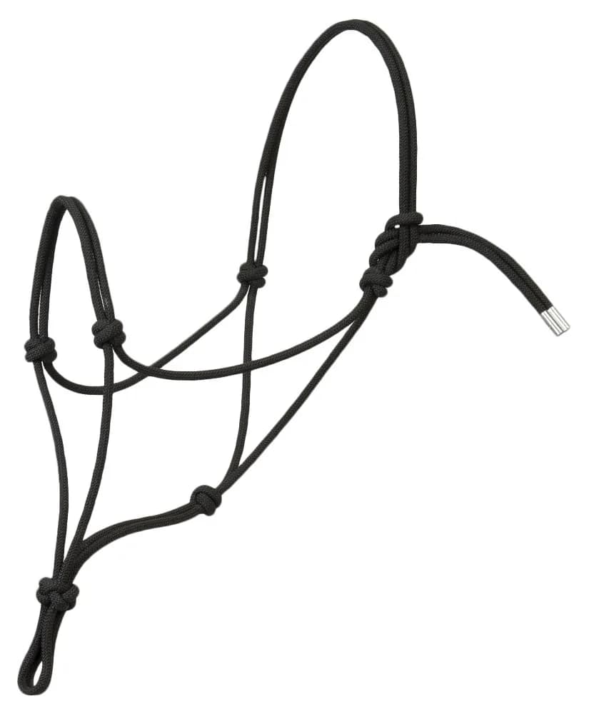Weaver Equine Silvertip Rope Halter Average | No Hardware, Shape Holding (110 characters) - main product image