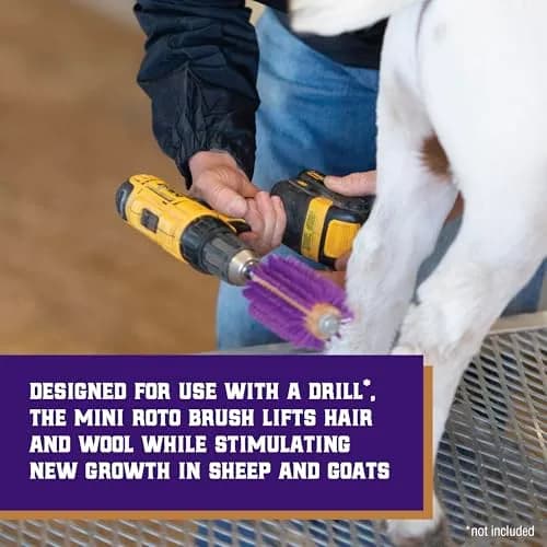 Weaver Livestock Roto Brush Purple, 5-3/8" Long | Livestock Hair & Wool Grooming Tool thumbnail 4
