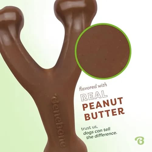 Benebone Peanut Butter Wishbone Chew Toy Medium | Durable Nylon Dog Toy for Super Chewers thumbnail 2