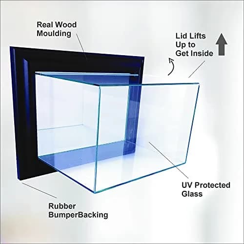 Perfect Cases NASCAR Wall Mounted Display Case Walnut | UV Protected Glass & Wood Molding thumbnail 4