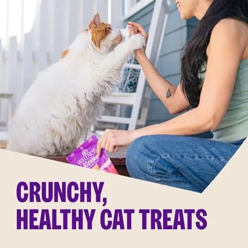 Wellness Kittles Crunchy Cat Treats Salmon & Cranberry Flavor 56g (2 oz) | Grain-Free Dental Care thumbnail 2