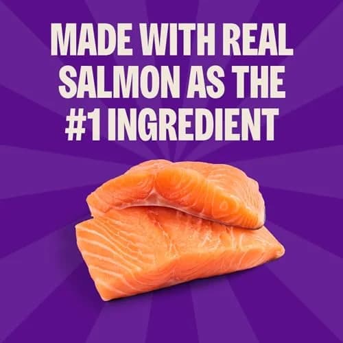 Wellness Kittles Crunchy Cat Treats Salmon & Cranberry Flavor 56g (2 oz) | Grain-Free Dental Care thumbnail 3