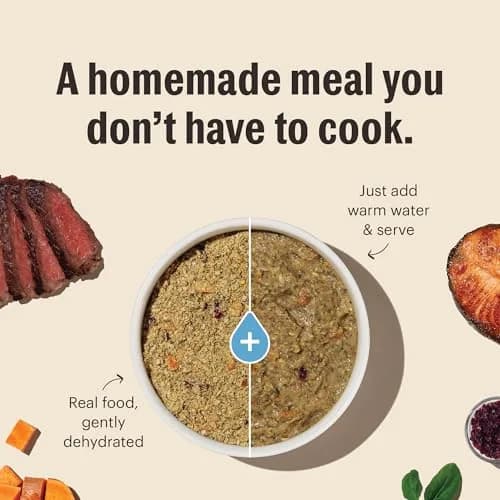 The Honest Kitchen Wholemade Grain Free Chicken Recipe Dehydrated Dog Food 2 lb (0.91 kg) | Supports Digestion & Skin thumbnail 4