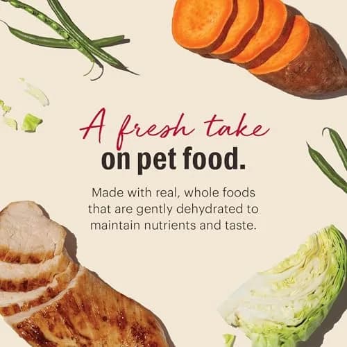 The Honest Kitchen Wholemade Grain Free Chicken Recipe Dehydrated Dog Food 2 lb (0.91 kg) | Supports Digestion & Skin thumbnail 3