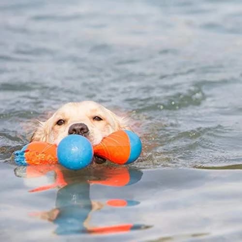 Chuckit! Tri-Bumper Fetch & Tug Dog Toy Medium | Floats & Tumbles for Exciting Fetch thumbnail 5