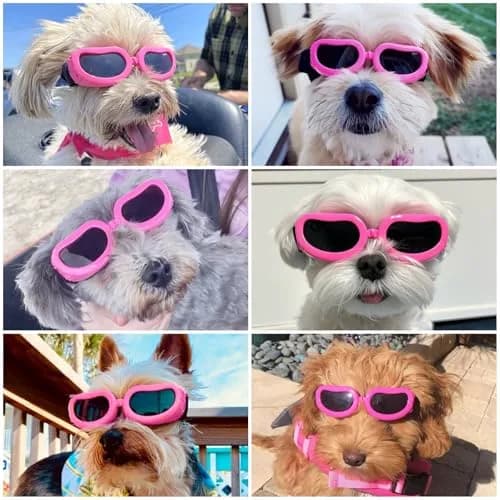 Enjoying Classic Pink Small Breed Dog Goggles - UV Protection, Windproof & Adjustable thumbnail 2