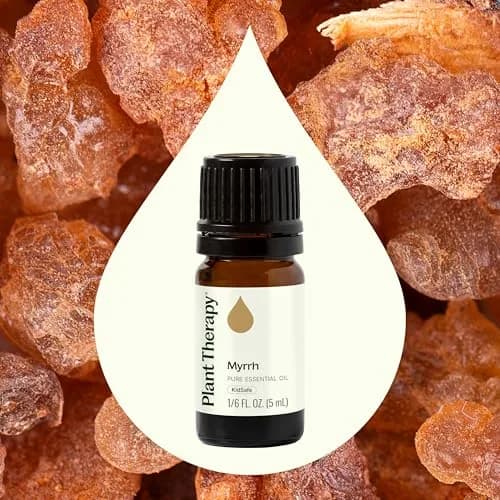 Plant Therapy Myrrh Essential Oil 5 mL (0.17 Fl Oz) | Pure, Undiluted, USDA Organic thumbnail 3