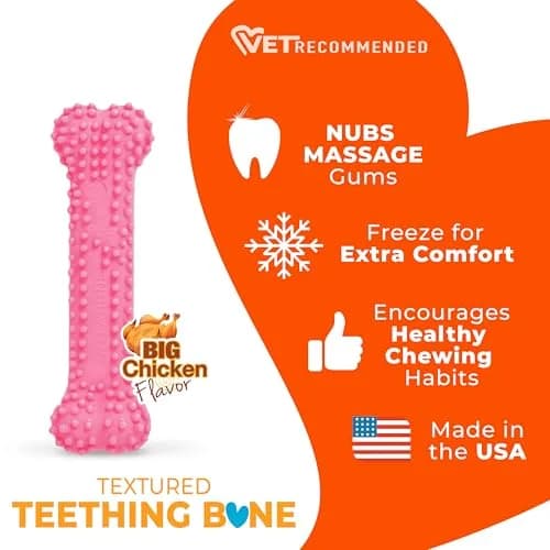 Nylabone Puppy Chew Pink Textured Teething Dog Bone, X-Small | Gentle Teething Relief for Puppies thumbnail 4