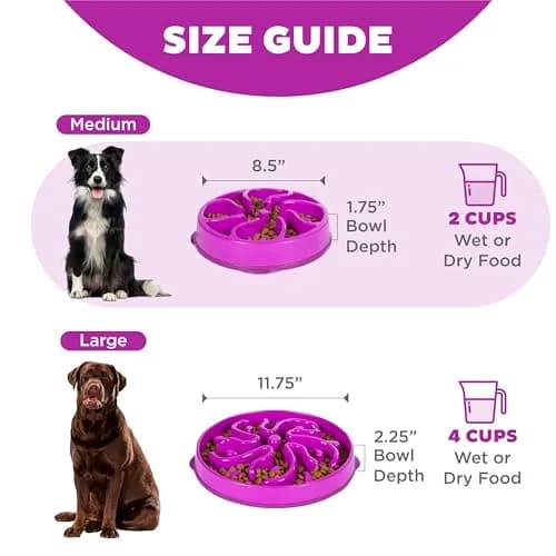 Outward Hound Fun Feeder Slow Bowl Medium 2-Cup Capacity Purple Flower Pattern | Slow Eating Dog Bowl thumbnail 5