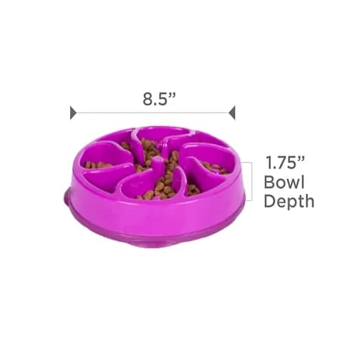 Outward Hound Fun Feeder Slow Bowl Medium 2-Cup Capacity Purple Flower Pattern | Slow Eating Dog Bowl thumbnail 7