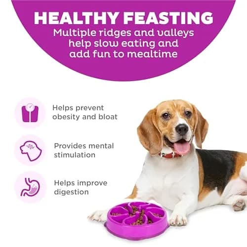 Outward Hound Fun Feeder Slow Bowl Medium 2-Cup Capacity Purple Flower Pattern | Slow Eating Dog Bowl thumbnail 2